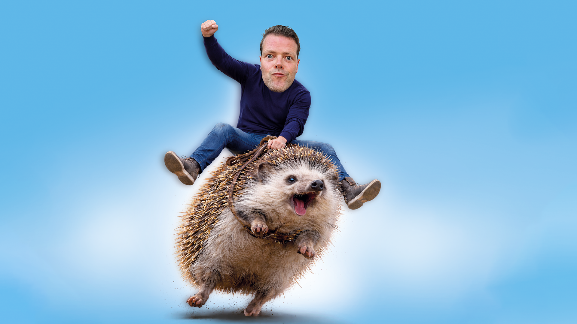 Martijn Koning Overprikkeld Liggend