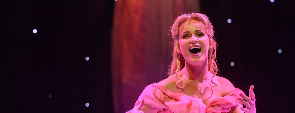 1E Selectie Doornroosje De Musical 019 Bewerkt