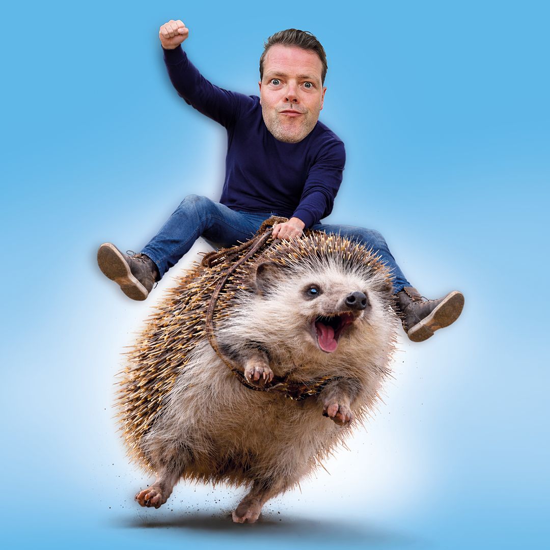 Martijn Koning Overprikkeld Vierkant